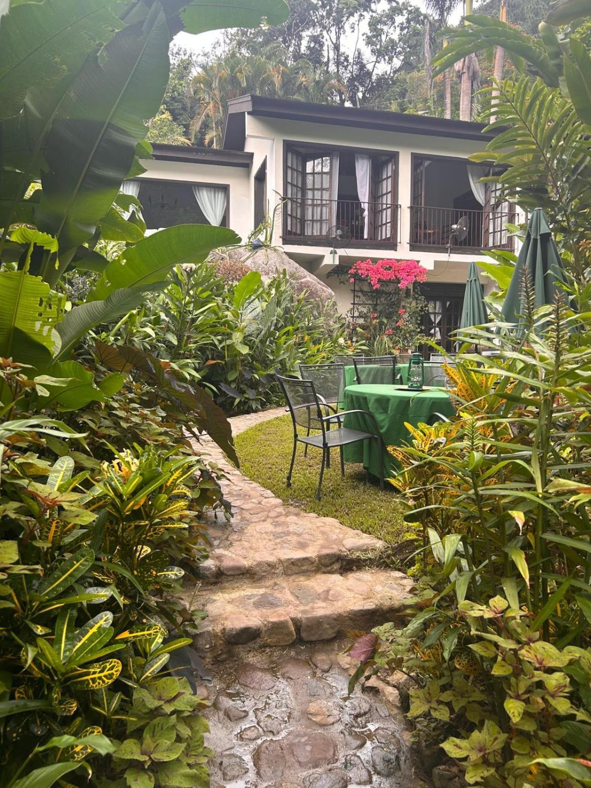 Serendipity Holistic Resort Spa Kingston Exterior photo